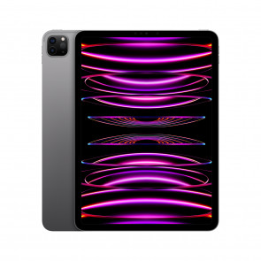 Apple iPad Pro 11" WiFi 256GB Space Grau