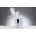 Boneco U300