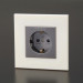 Furutech SWS G Einbausteckdose