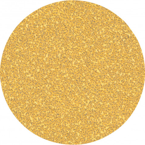 Bosch EXPERT C470 Brusni papir brez