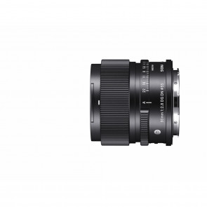 Sigma 90mm 2.8 DG DN E-Mount Series
