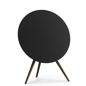 Bang & Olufsen Beosound A9 5. generacija