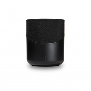 BLUESOUND PULSE M bk Zonenplayer zvocnik