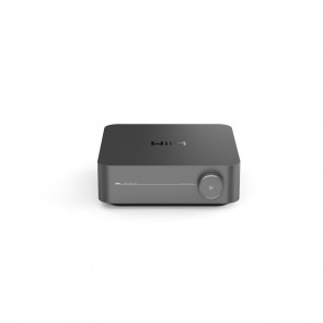WiiM Amp Pro space grey avdio pretvornik