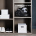 Rowenta RO3725 Compact Power Cyclonic