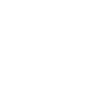 HDMI X2